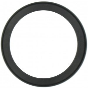 Valve Seal, 2″, Bulk
